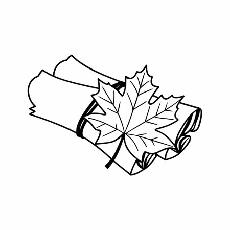 maple leaf and maple leaves icon over white background, line style, vector illustrationのイラスト素材