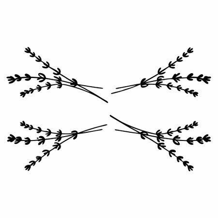 Set of hand drawn lavender twigs. Vector illustration isolated on white background.のイラスト素材