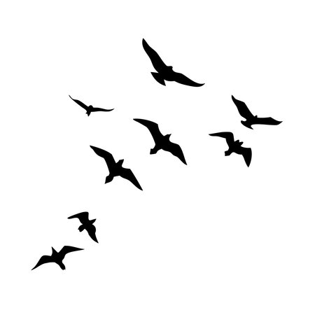 A flock of seagulls flying in the sky. Vector illustrationのイラスト素材