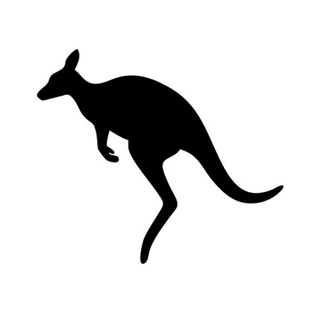 Kangaroo black silhouette isolated on white background. Vector illustration.のイラスト素材
