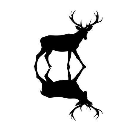 Silhouette of a deer with horns on a white background.のイラスト素材
