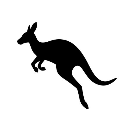 Kangaroo icon in black on a white background. Vector illustration.のイラスト素材