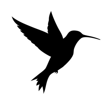 Hummingbird Silhouette Isolated on White Background. Vector Illustrationのイラスト素材