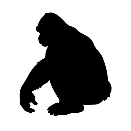 Vector illustration of gorilla silhouette on white background. Isolated monkey.のイラスト素材