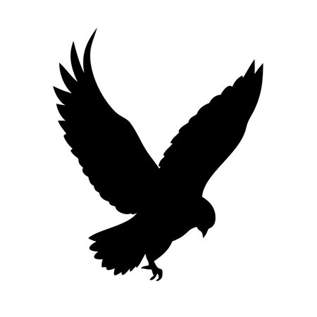 Silhouette of a flying eagle on a white background. Vector illustrationのイラスト素材