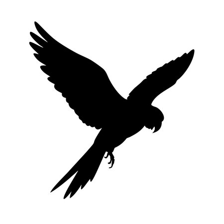Parrot silhouette isolated on white background. Vector illustration for your design.のイラスト素材