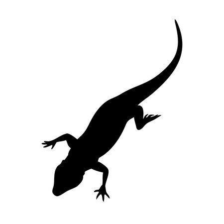 silhouette of a lizard on a white background, vector illustrationのイラスト素材