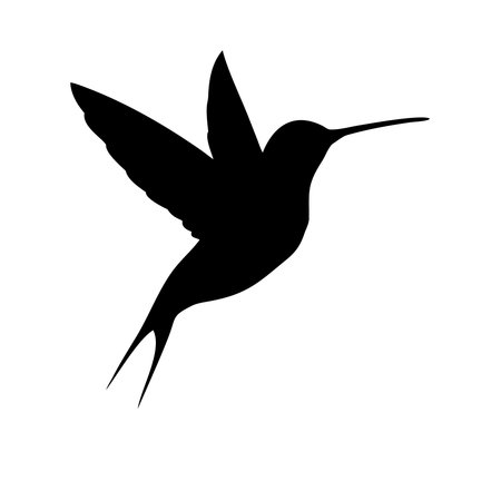 Hummingbird Silhouette Isolated on White Background. Vector Illustrationのイラスト素材