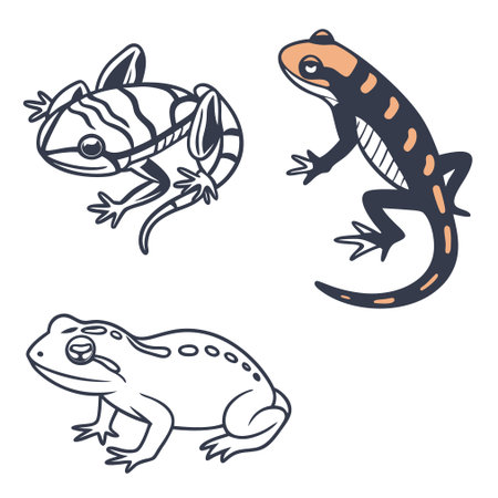 Set of frog and chameleon. Vector illustration isolated on white background.のイラスト素材
