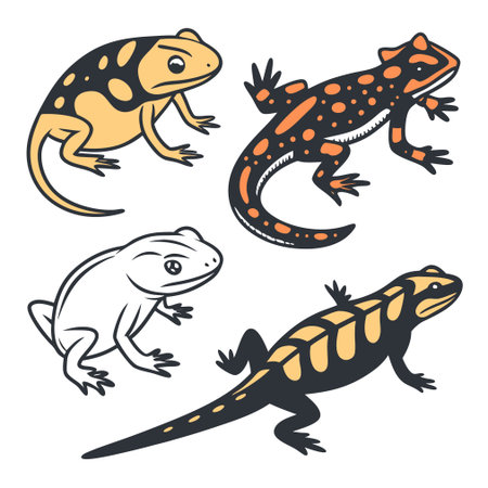 Vector set of hand drawn cartoon salamander. Isolated on white background.のイラスト素材