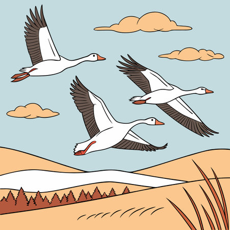 Three geese flying in the sky. Vector illustration in cartoon style.のイラスト素材