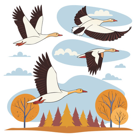 Set of geese flying in the autumn forest. Vector illustration.のイラスト素材