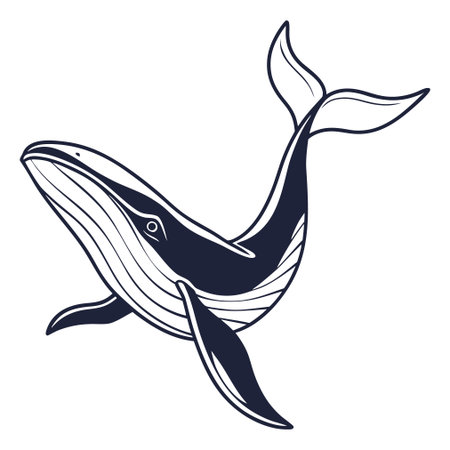 A clean and artistic vector illustration of a whale, capturing the grace of marine life.のイラスト素材