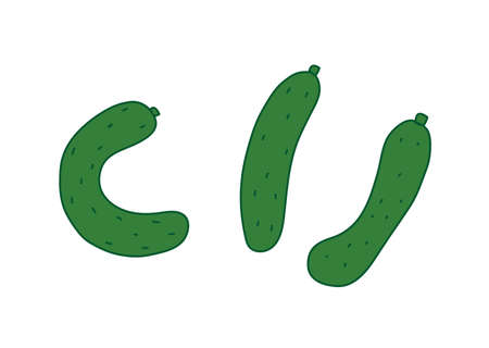 Illustration of crooked cucumber and straight cucumberのイラスト素材