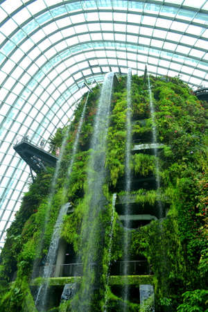 artificial natureのeditorial素材