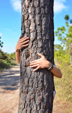 Man hugging a treeの素材