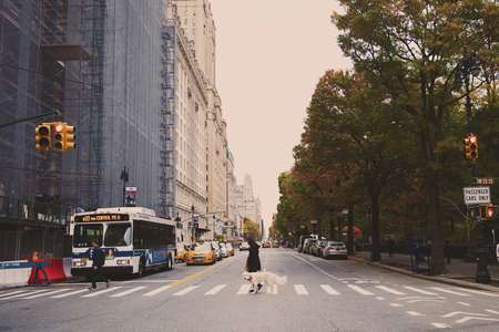 New York city 