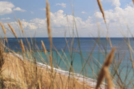 A view of the coast through seagrassの写真素材