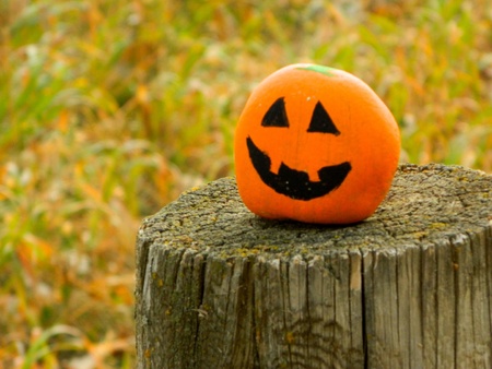 rock painted to look like a halloween pumpkinの写真素材