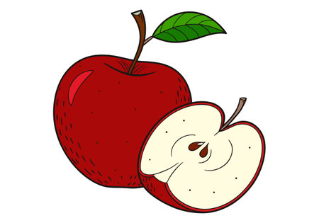 Illustration of a red apple with a slice on a white backgroundのイラスト素材