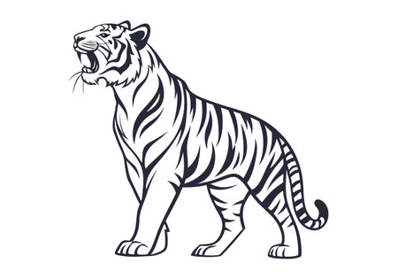 Tiger on a white background. Vector illustration of a tiger.のイラスト素材