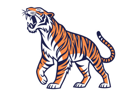 Vector image of a tiger on a white background. Isolated.のイラスト素材