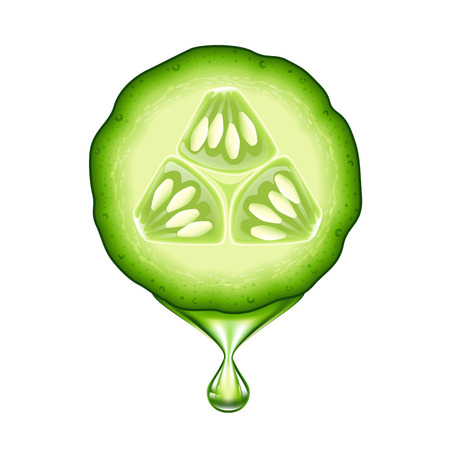 Fresh cucumber slice isolated on white backgroundのイラスト素材
