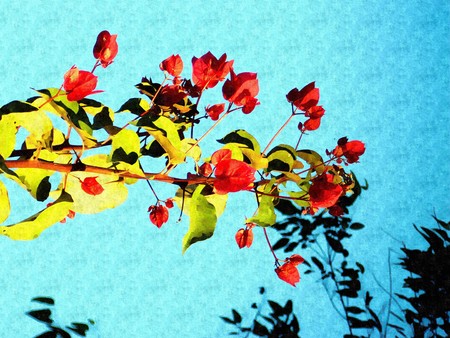 Beautiful twig of flowers.の写真素材