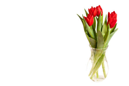 Tulip bouquet in a vase, isolated on a white backgroundの写真素材