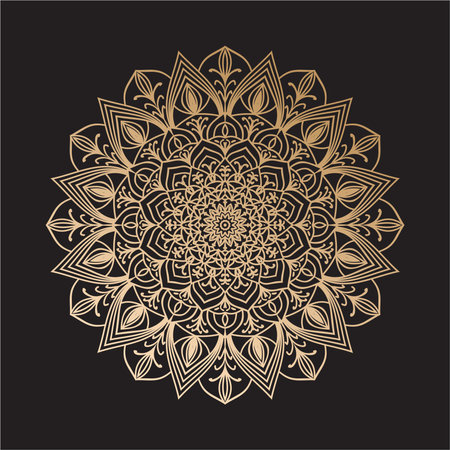 Mandala. Ethnic decorative element. Hand drawn backdrop. Islam, Arabic, Indian, ottoman motifs.のイラスト素材