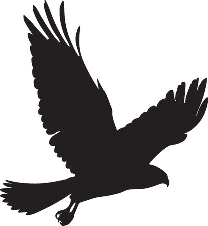 Eagle.Black and White Illustration.Vector Illustration.のイラスト素材