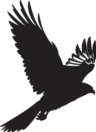 Eagle.Black and White Illustration.Vector image ready for vinyl cutting.のイラスト素材