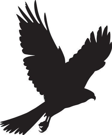 Eagle.Vector illustration.Eagle silhouette. Bird of prey.のイラスト素材