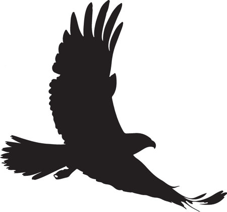 Eagle.Vector illustration.Eagle silhouette.Eagle black and white.のイラスト素材