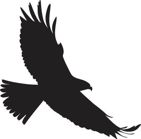Silhouette of a flying eagle on a white background. Vector illustrationのイラスト素材