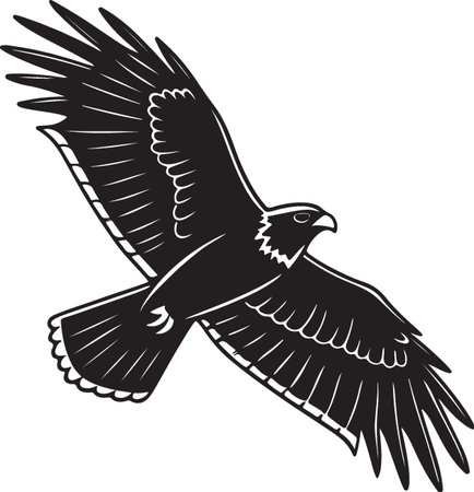 Eagle.Vector illustration ready for vinyl cutting.  Isolated on white background.のイラスト素材