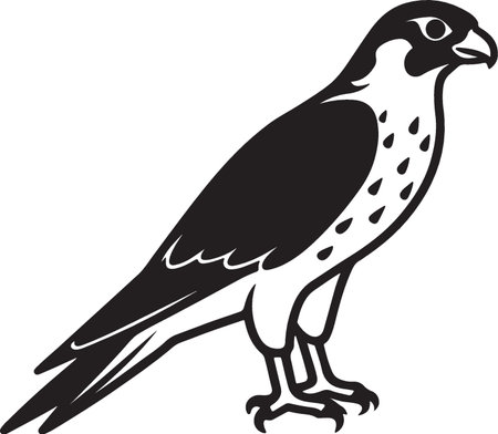 Falcon.Vector illustration ready for vinyl cutting.EPS 10のイラスト素材