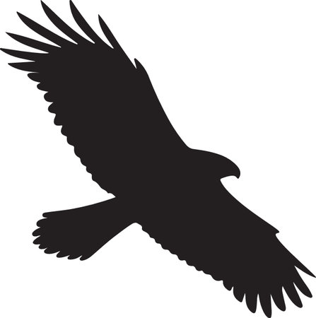 Silhouette of a flying eagle on a white background. Vector illustrationのイラスト素材