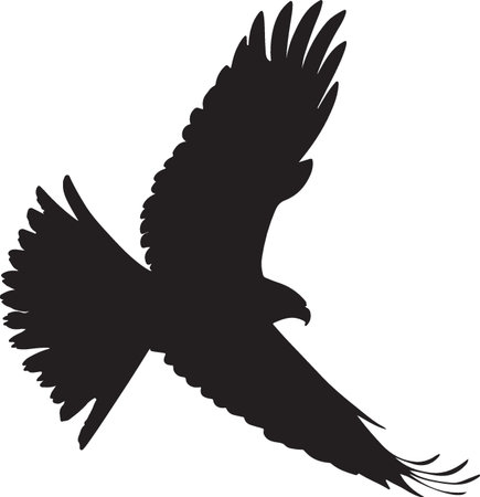 Eagle.Vector illustration.Eagle Silhouette. Bird of prey.のイラスト素材