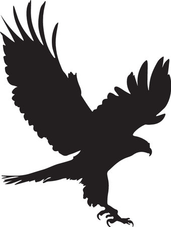 Eagle. Bald Eagle.Vector illustration ready for vinyl cutting.のイラスト素材