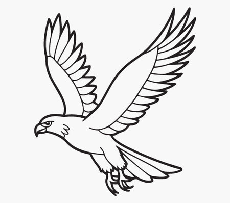 Eagle in flight. Vector illustration isolated on a white background.のイラスト素材