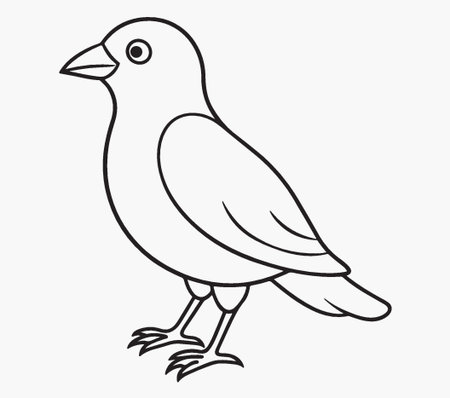 Vector illustration of a black and white bird on a white background.のイラスト素材