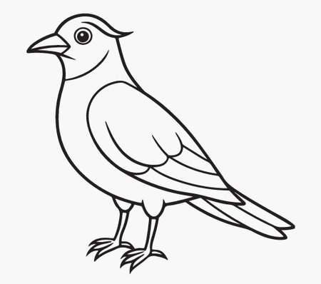 Vector image of a bird on a white background. Vector illustration.のイラスト素材