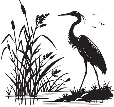 Heron on the shore of the lake. Black and white vector illustration.のイラスト素材
