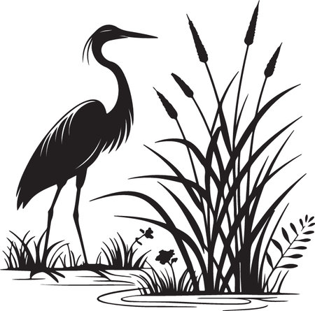 Heron in the reed. Black and white vector illustration.のイラスト素材