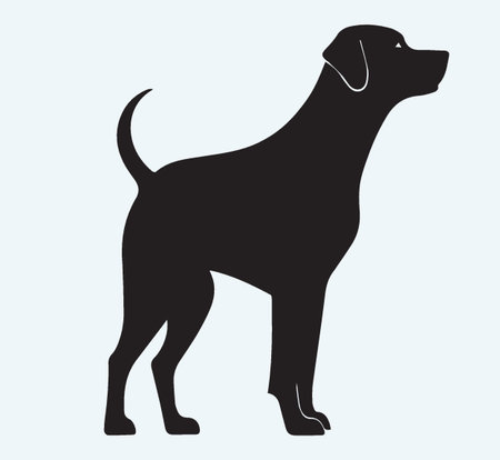 Labrador Retriever dog silhouette isolated on blue background, vector illustrationのイラスト素材