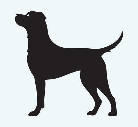 Black silhouette of a dog on a blue background. Vector illustration.のイラスト素材