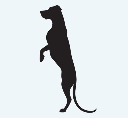 Dog silhouette, isolated on blue background, vector illustration, eps10のイラスト素材