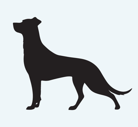 Silhouette of a dog on a blue background, vector illustrationのイラスト素材