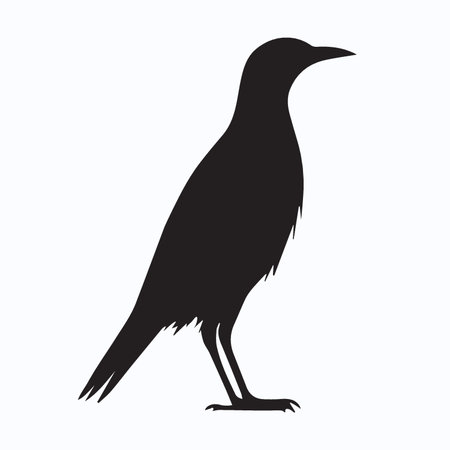 Crow silhouette on white background. Vector illustration for your design.のイラスト素材